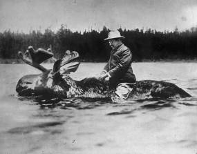 TR