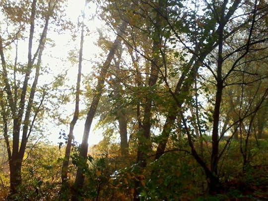 Foggy Morning on the Delaware River