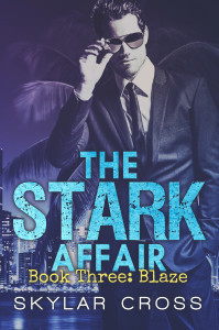 Stark3BlazeBookCover6x9