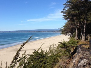 ocean pic