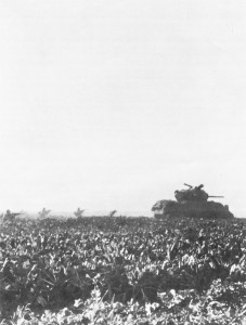 US tank on Roer plain in Germany (US Army Center of Military History)