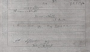 Hammie Neill's Attestation in 1901