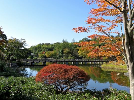 The Japanese maples turn early in the Japanese garden at Show Kinen. Look for them in early November.