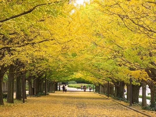 You can walk under the twin promenades through a tunnel of gold.