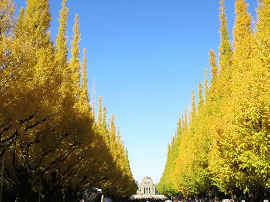 By late November, this famous boulevard is attracting thousands and thousands of camera-happy gawkers every day, but you can still enjoy the trees despite the crowds.