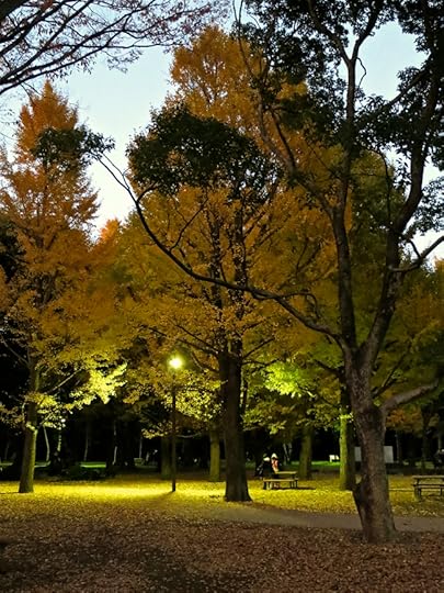 At twilight, you can scuff your feet through a sea of yellow leaves.