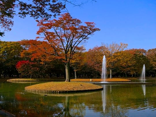 By late November, the maples are turning orange and red.