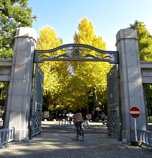 Tokyo University's gothic buildings are the perfect backdrop for a lovely line-up of gingko trees. They reach their golden peak in mid-November, and there's never a crowd, so you can enjoy a peaceful walk under the canopy.