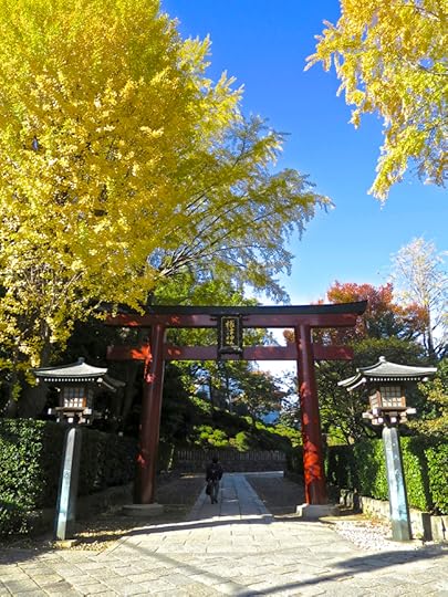 Golden gingko trees shade the red torii gate at the Nezu Shrine, starting in mid-November.