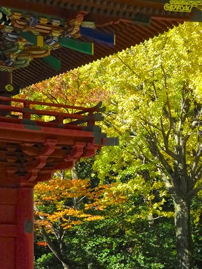 Usually the main gate is themost colorful thing around, but the gingkos and maples make its red lacquer and gold leaf seem pale in comparison. They're at their best in late November.
