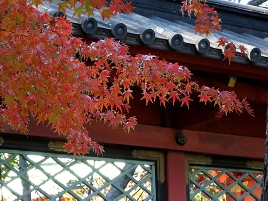 This is my favorite shrine in Tokyo, and autumn is one of the best times to see it.