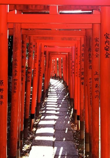 Bonus attraction: you can walk though a glowing tunnel of orange torii gates.