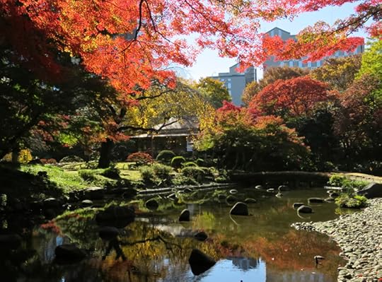 The Japanese maples at Koraku-en Garden are like jewels in a setting of green. They're at their peak in late November.