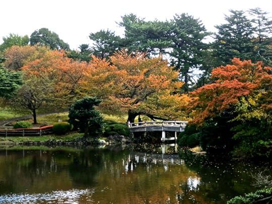 Shinjuku Gyou-en is most beautiful in early morning, when the pond reflects the changing Japanese maples and cherry trees.