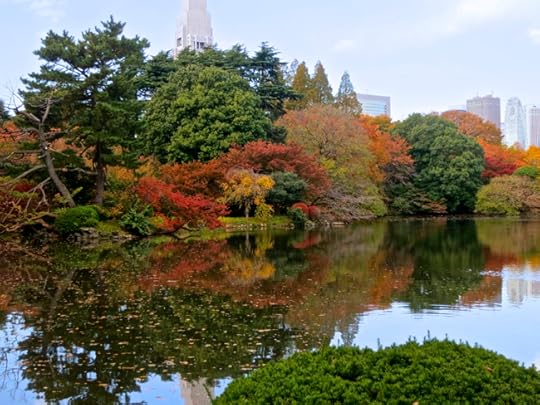 As November moves into December, the garden only becomes more colorful.