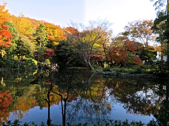 Trees of all colors reflect in the serene pond in mid to late-November.