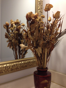 Dead_flowers_102302013