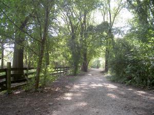 A writer's historical journey