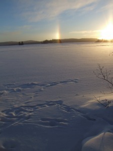 Frozen lake in Algonquin Park (Photo by Voyageur Quest)