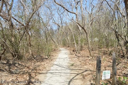 Costa Rica in Dry Season | Two Weeks in Costa Rica