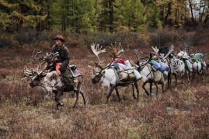 Dhuka herder moving his reindeer ~ Image: Uluc Kecik