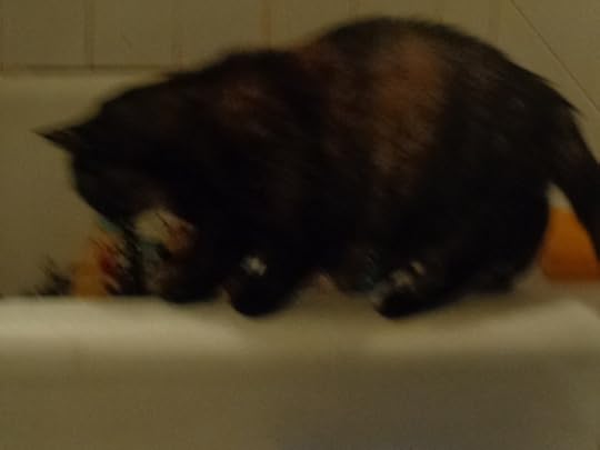  photo DSC01709_zps01a64dec.jpg