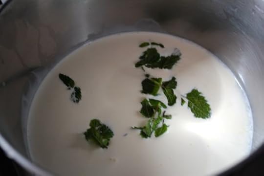 mint mousse02