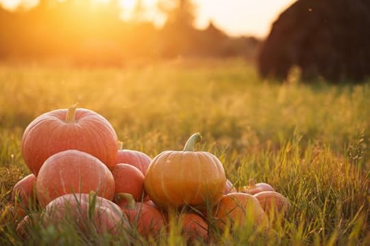 pumpkins outdoor