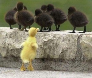 #la discriminación positiva