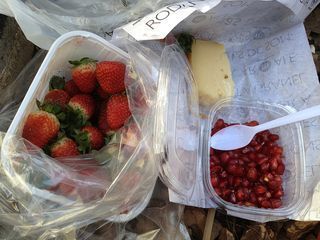 Picnic