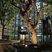 Glass, light and trees: Lloyds at night