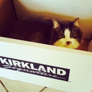 One time, I had a convertible home. 