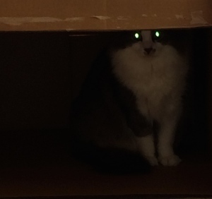 The power company never turns the electricity on soon enough when you move. 