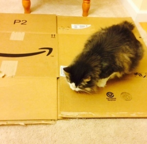 Once again, Mother has destroyed my home. She just can't stand to have me living away from her. 