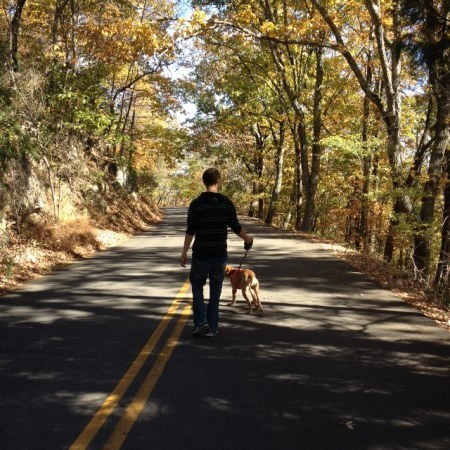 kenesaw walk
