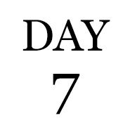 blog-day7