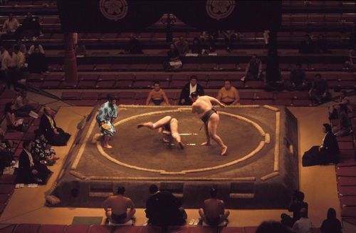 Sumo