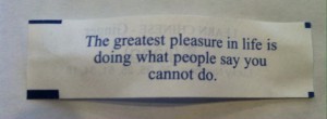 A Joyful Fortune