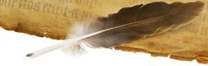Feather pen for Writing Tips