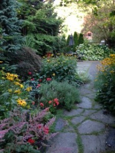 My garden in August