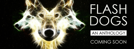 Flashdogs-1-facebook (1)