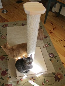 vertical_cat_scratcher