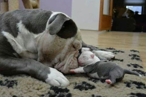 mime-attachment (14)