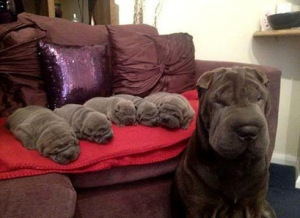 mime-attachment (21)