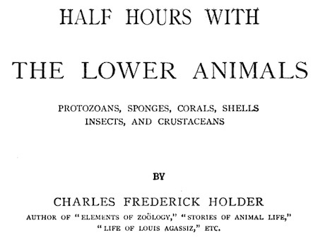 half-hours