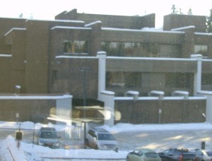 The window in the office gives me a great view!