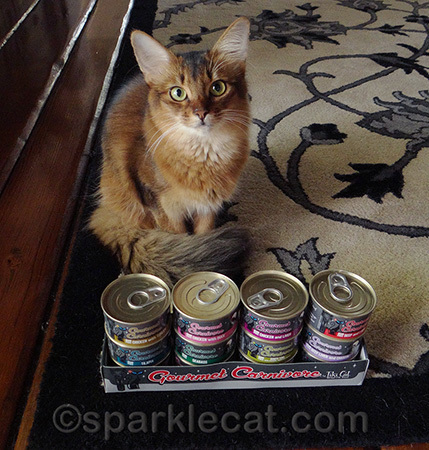 I am looking sad because I don't have opposable thumbs to pop open these cans