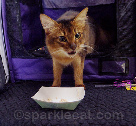 Can I have more? What do you mean there's no more!