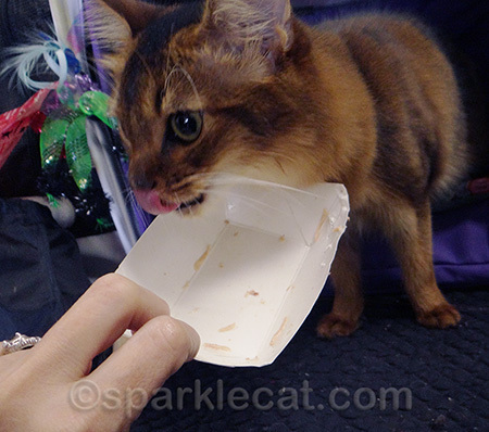 Yes, I tried eating that bowl too