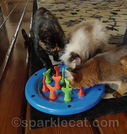 This share-and-share-alike moment lasted... less than a moment!